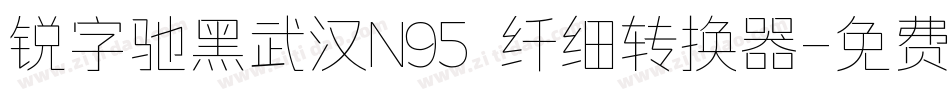 锐字驰黑武汉N95 纤细转换器字体转换